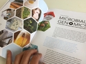 BC brochure